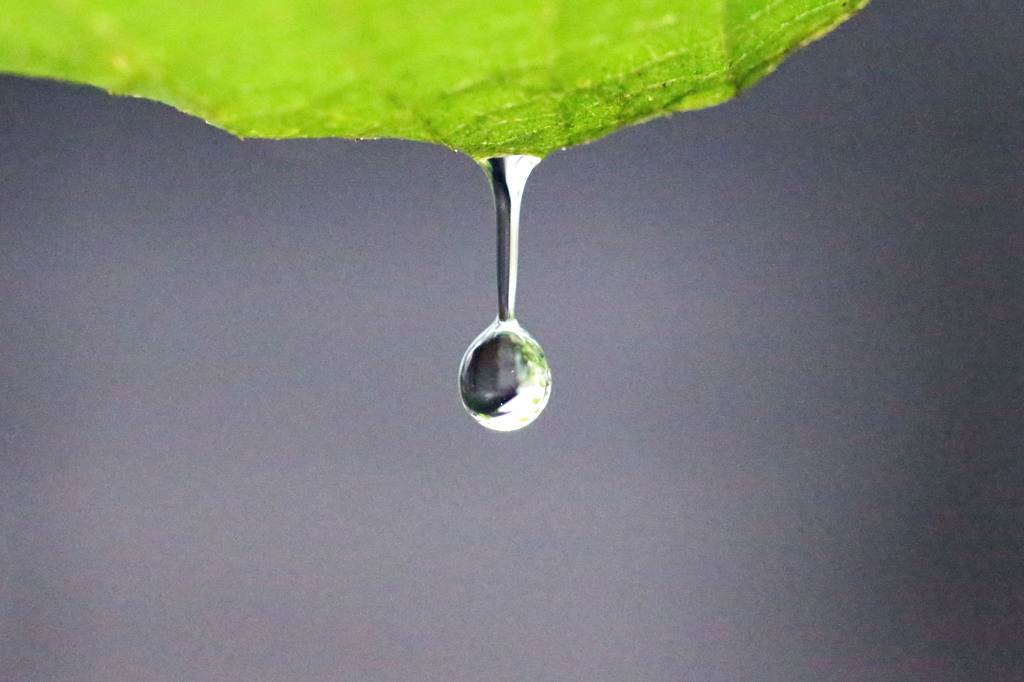 もう少しでおちるに