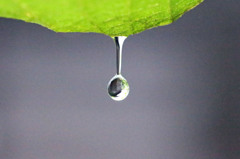 もう少しでおちるに