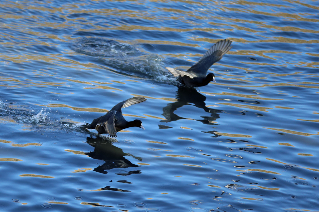 ゴールは目の前