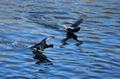 ゴールは目の前