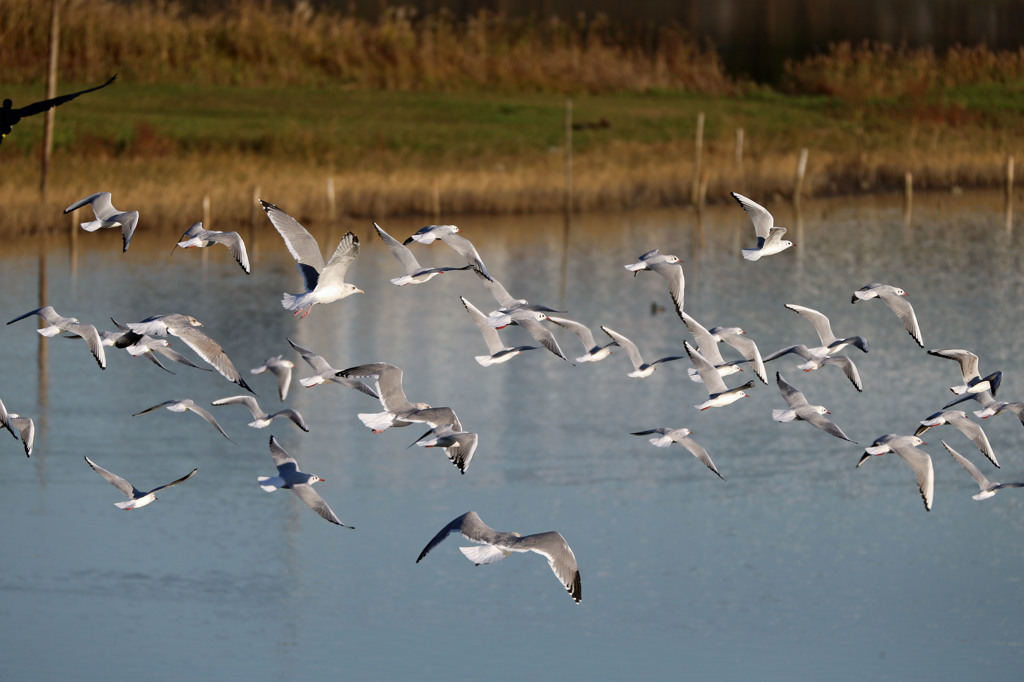 日差しを浴びて