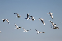 日差しを浴びて