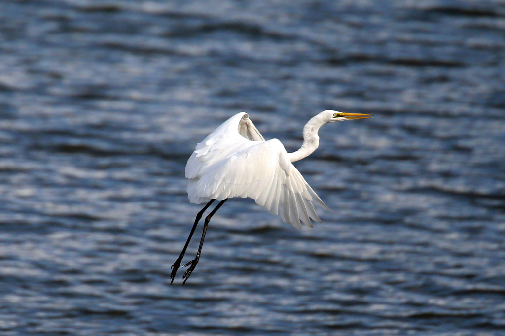 ホバリングのつもり