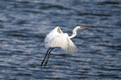 ホバリングのつもり