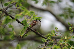 恥ずかしいから撮らないで