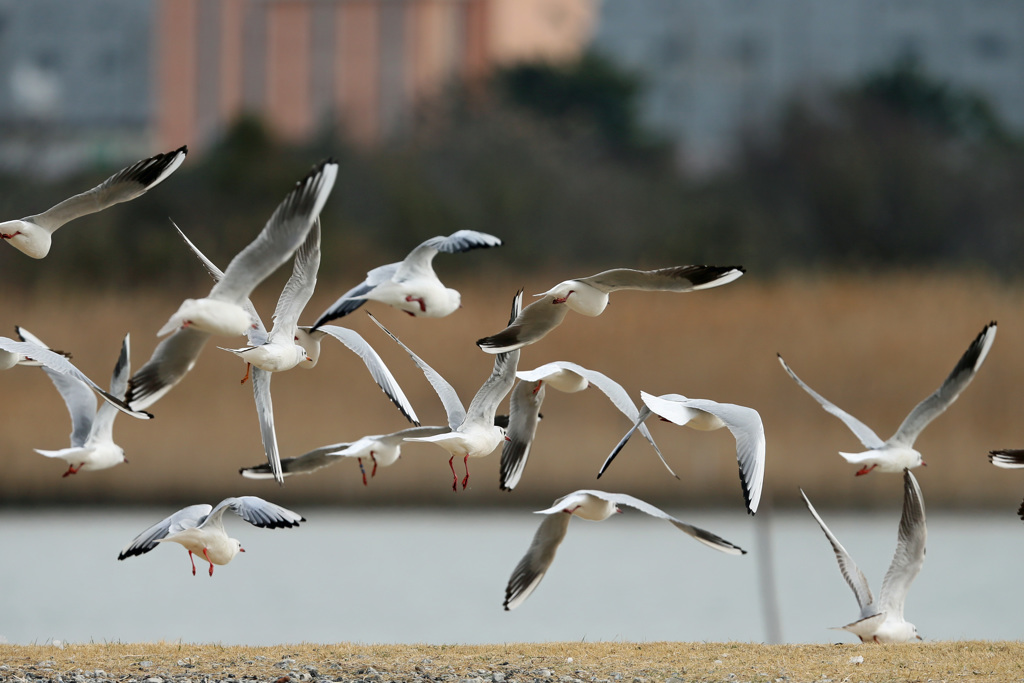 お尻がいっぱい