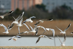 お尻がいっぱい