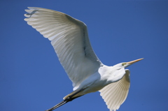 画面に収まりません