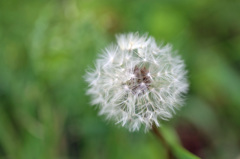 遠くに飛んでけ