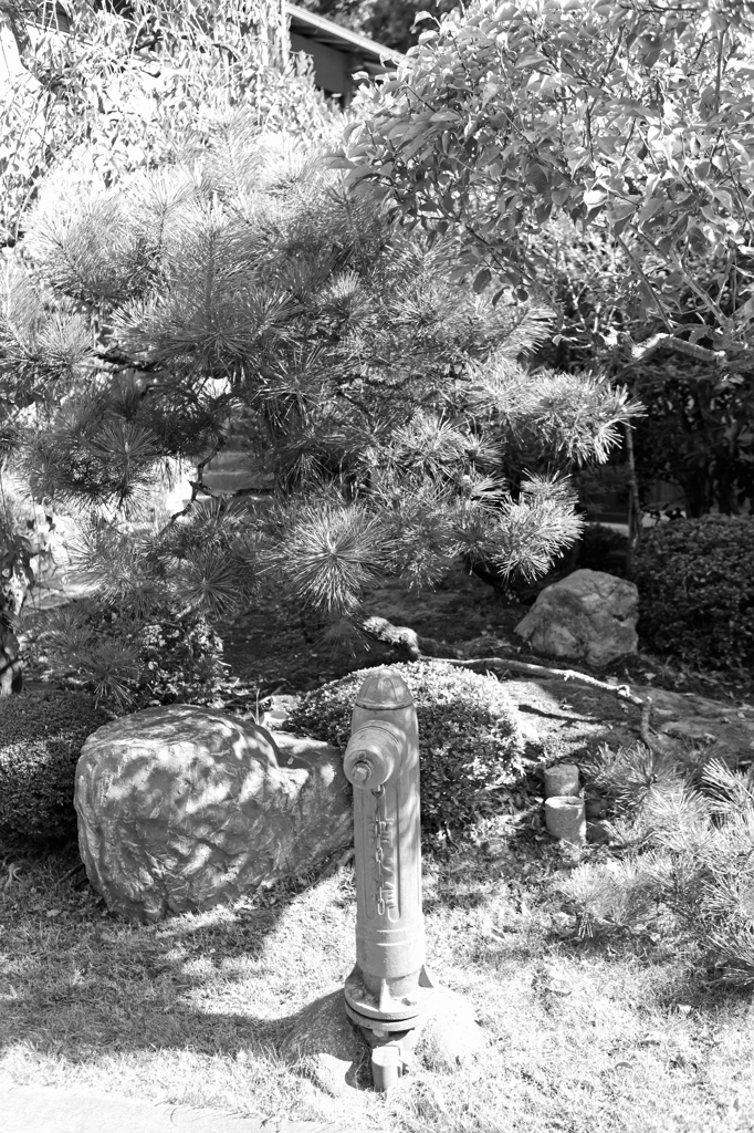 懐かしい消火栓