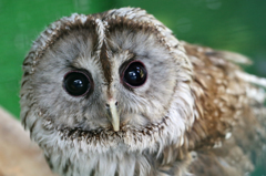 びっくりしたあ