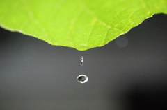 雨だれー2