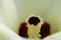 今日の働きもの