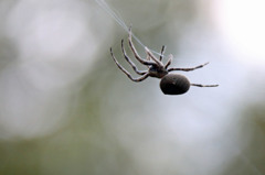 僕も可愛いでしょ