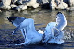 どうなってるのかわかりません