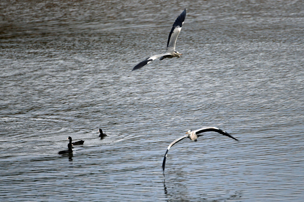 一生あなたについては
