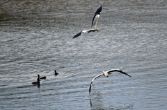 一生あなたについては