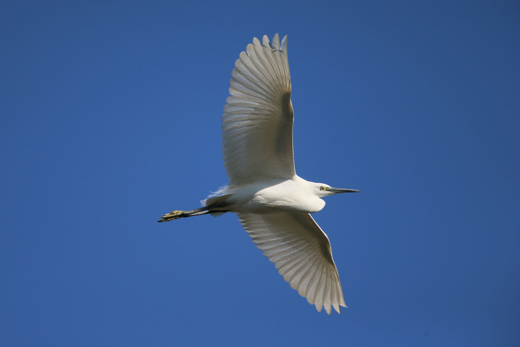 日差しを浴びて