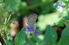 頭突っ込んでます