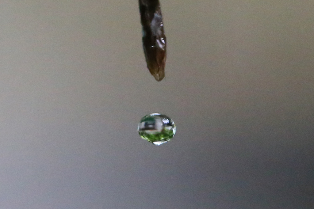 1/2000で止まって見えます-3