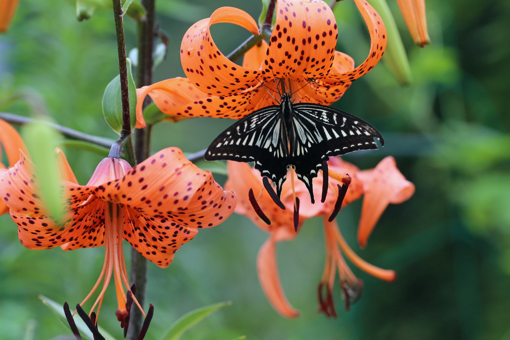 今年初めて撮影Ⅰ