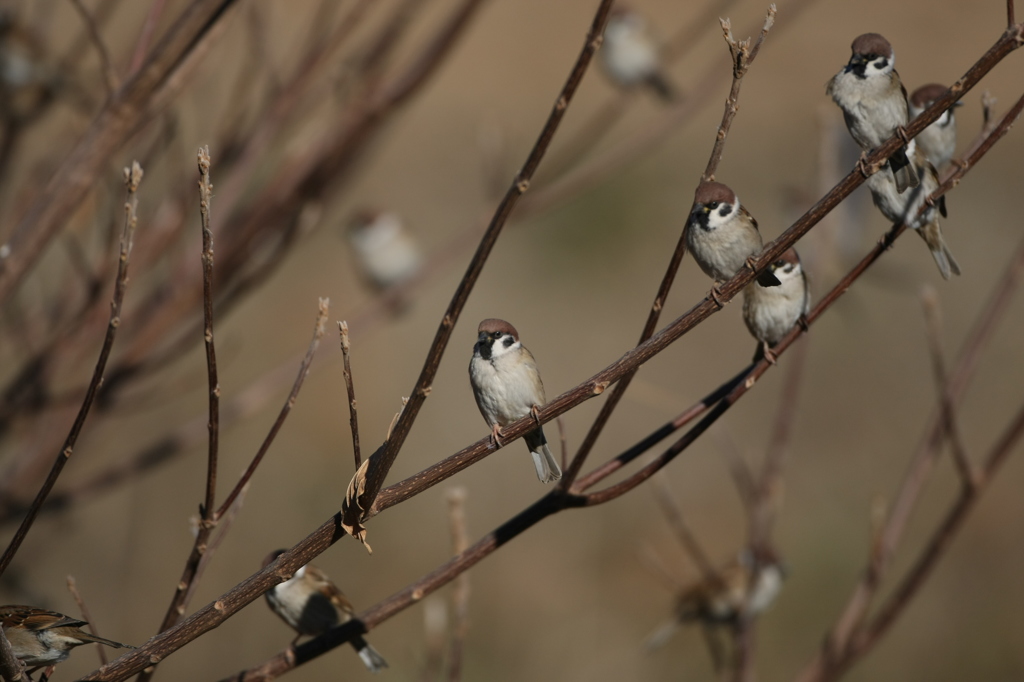 今日は寒いけん