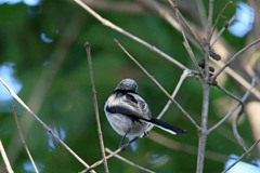 背中綺麗でしょ