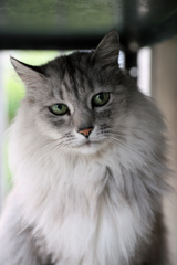 可愛いモデルさん