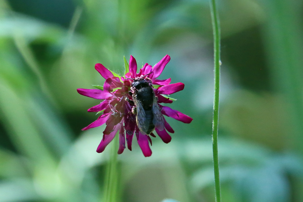あなたはどなた