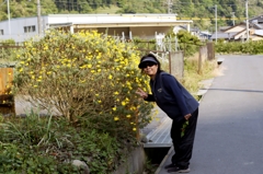 ピース