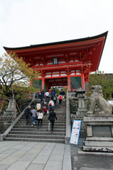 狛犬が紅葉してと言ってました