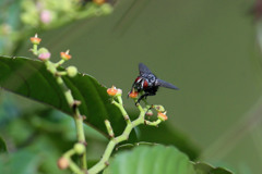 あなたはどなた