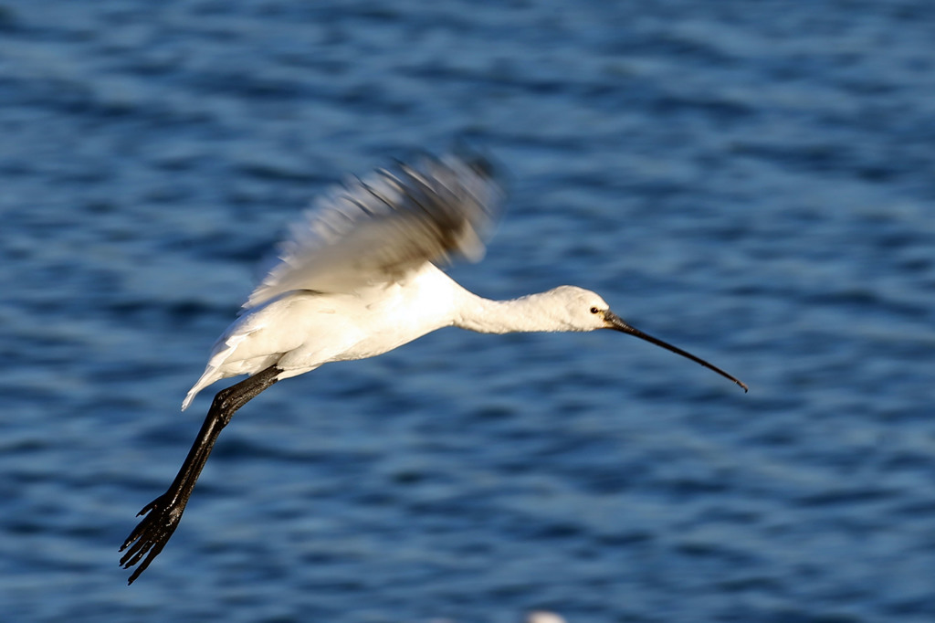 定番ポーズで-1