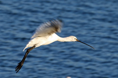 定番ポーズで-1