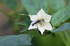 今日も頑張って