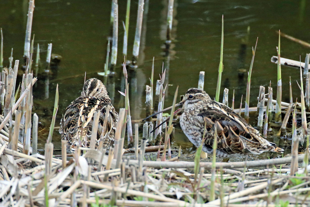 お～い起きろよ