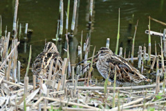 お～い起きろよ