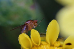 はい！右あげて♪