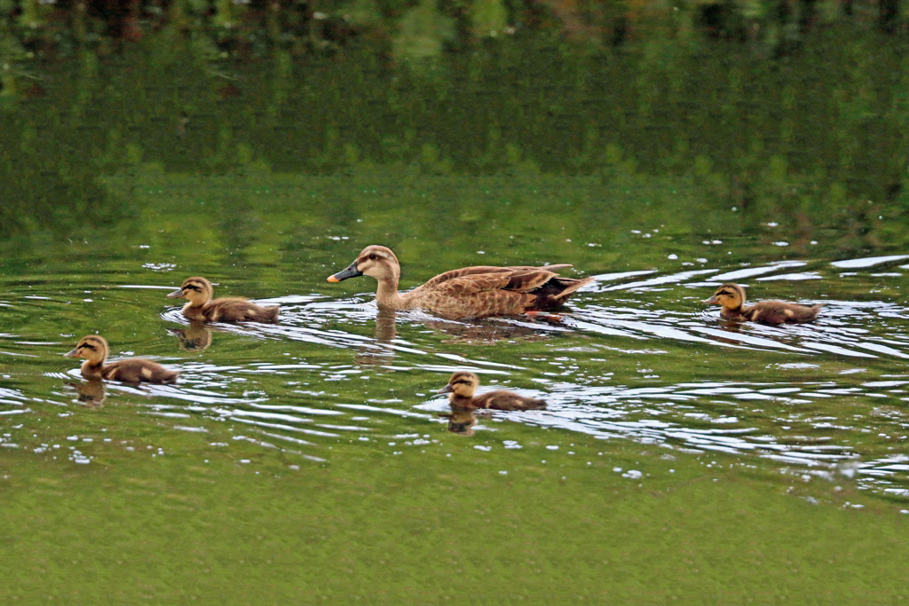 ちょっと子離れ