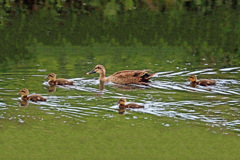 ちょっと子離れ