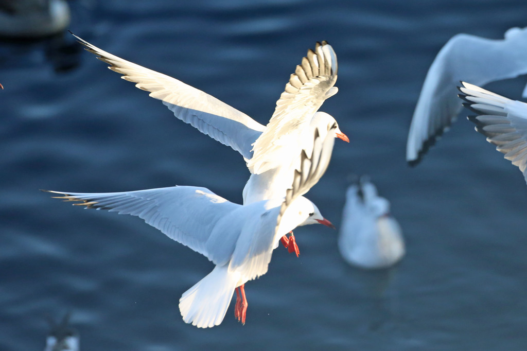 上下合成写真？