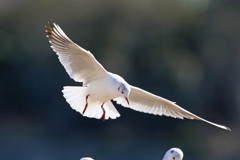 日差しを浴びて