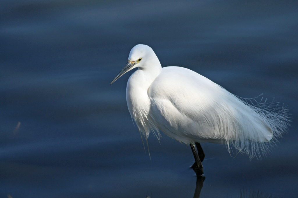 日差しを浴びて