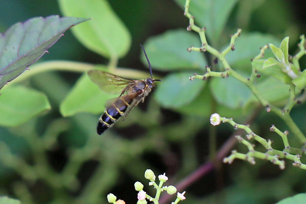 名前わかります？