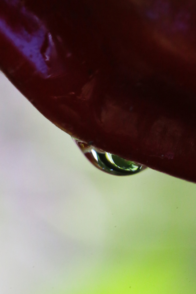 水滴シリーズ-1