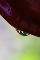 水滴シリーズ-1