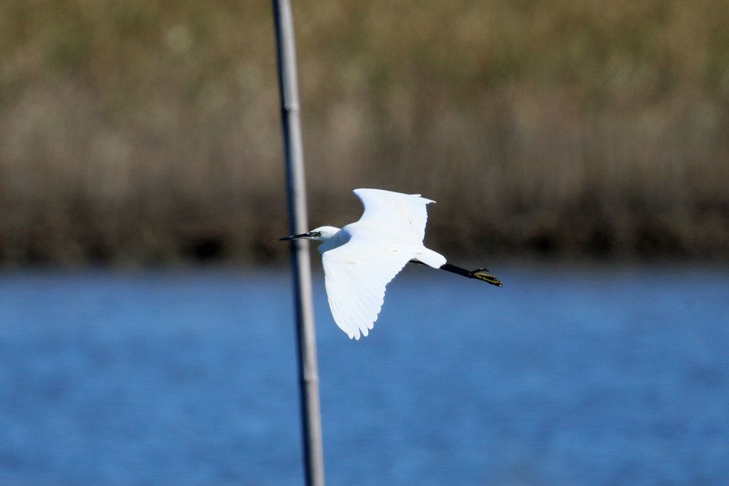 あ～杭にぶつかる