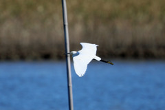 あ～杭にぶつかる