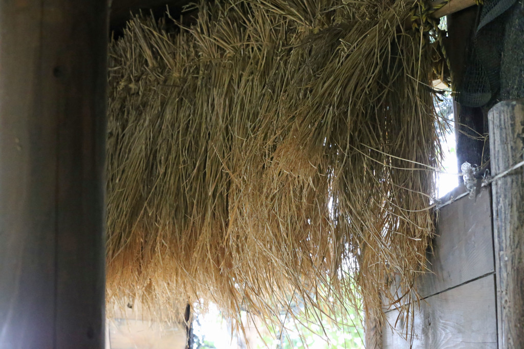 観察小屋の入り口