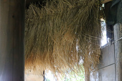 観察小屋の入り口